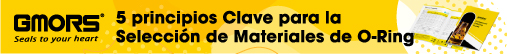 5 principios Clave para la Selección de Materiales de O-Ring: Una Guía Esencial de Selección